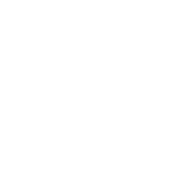 Vodra Icon